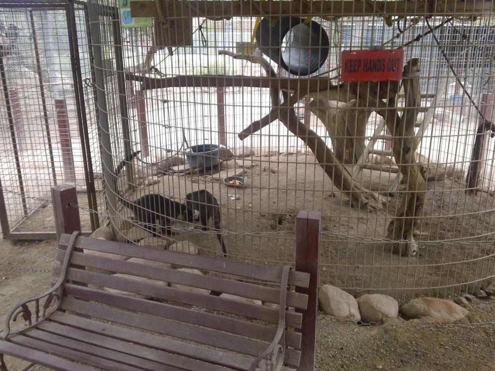 Bonnie Springs Ranch Motel Blue Diamond Bagian luar foto