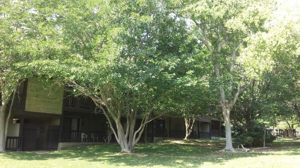 Bonnie Springs Ranch Motel Blue Diamond Bagian luar foto