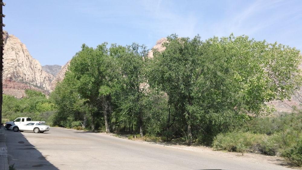 Bonnie Springs Ranch Motel Blue Diamond Bagian luar foto