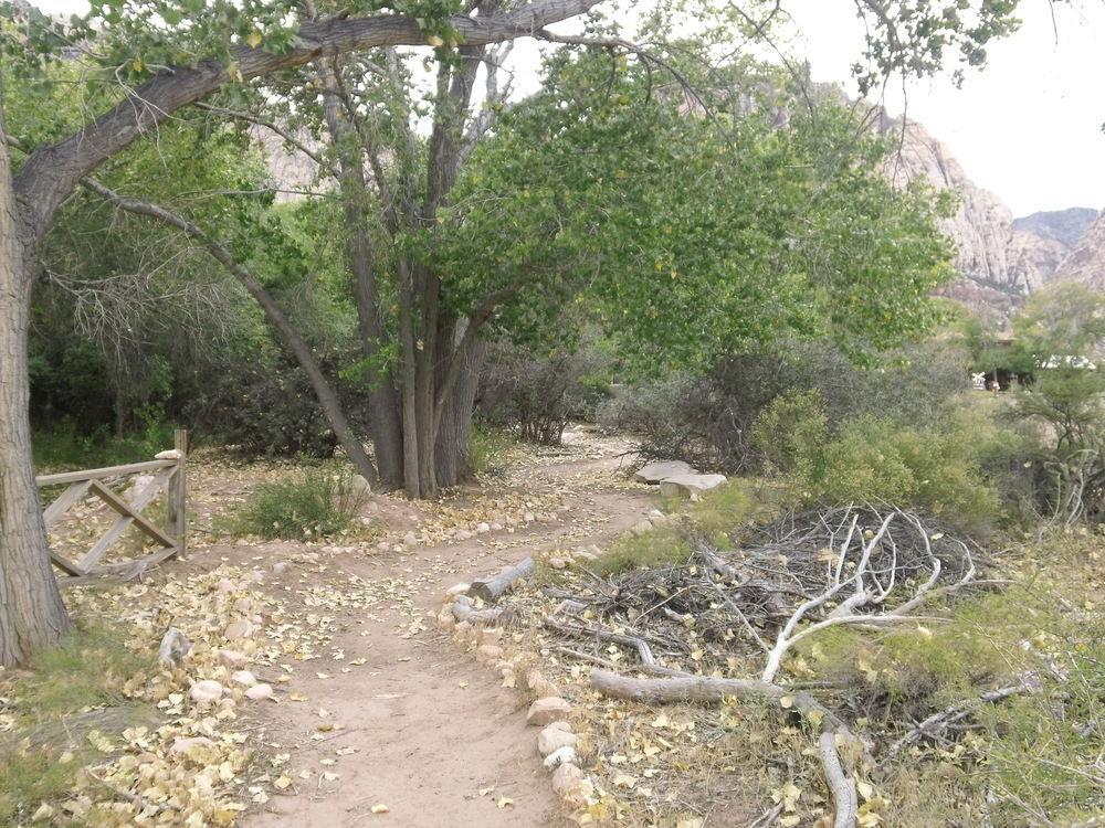 Bonnie Springs Ranch Motel Blue Diamond Bagian luar foto